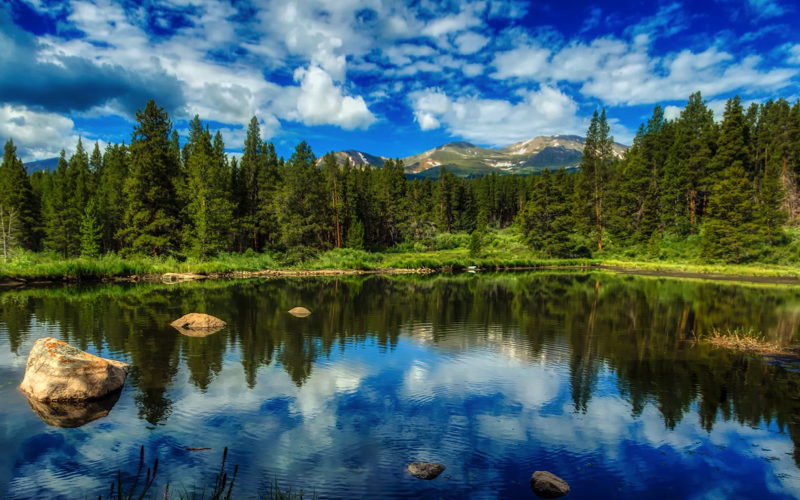 Panorama Pond