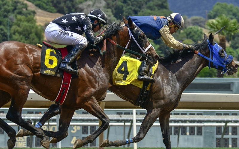 Horse racing denver